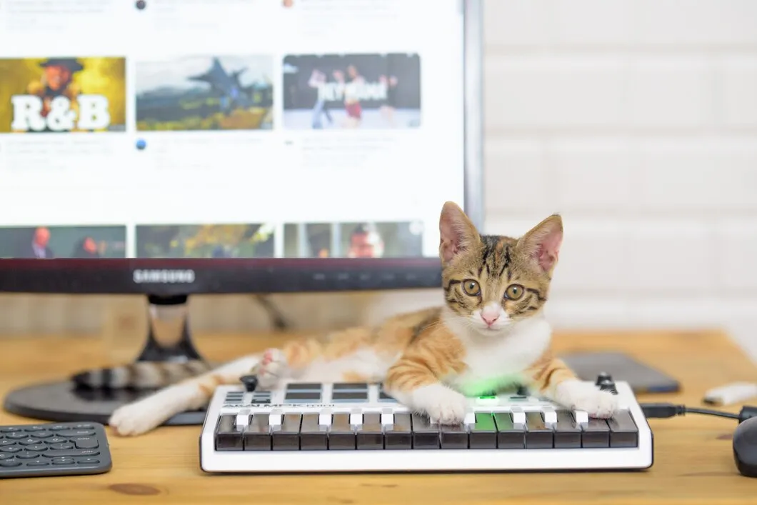 Удаленное лечение кошек через онлайн-консультацию в нашей ветклинике
