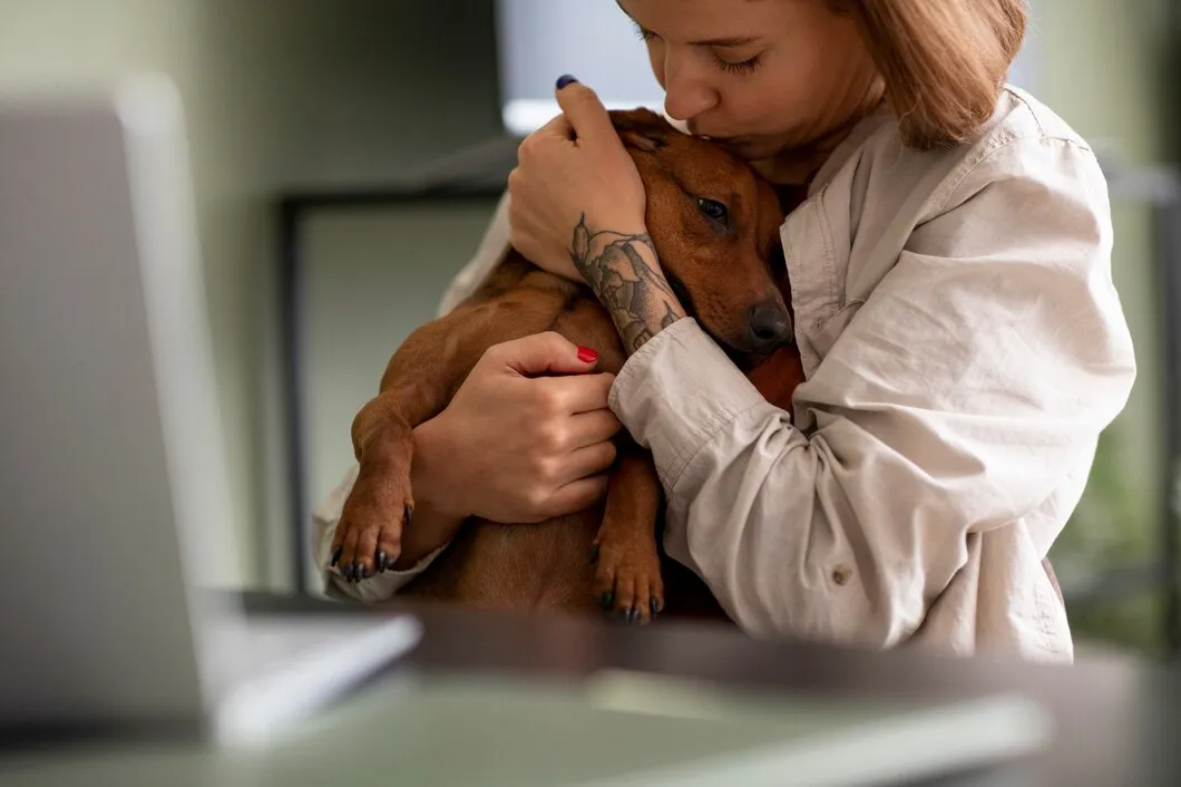 Вакцинация собак в ветеринарном центре Москвы