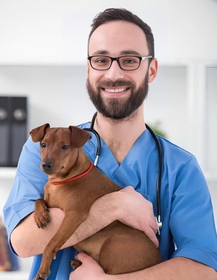 Вызов опытного ветеринара на дом