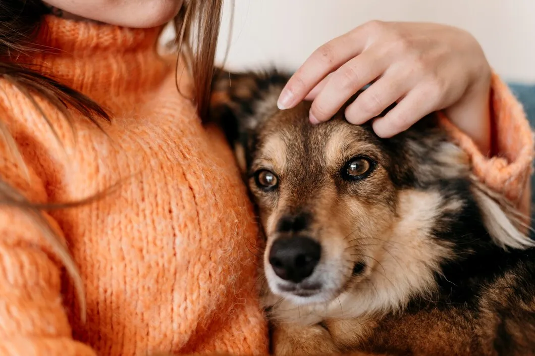 Эффективные средства для лечения собак от блох