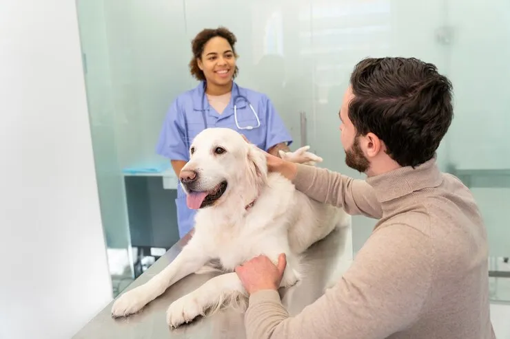 Кастрация собаки в ветеринарной клинике