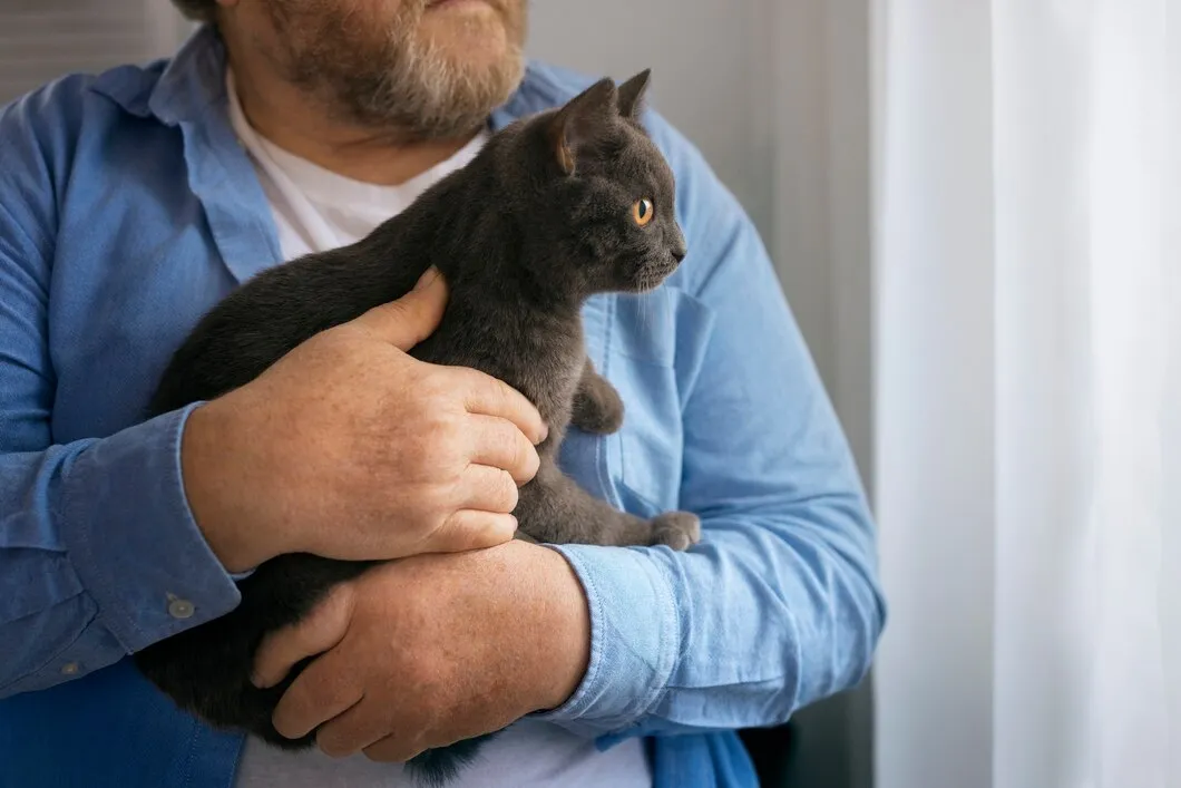 Ритуальная услуга для кошек в ветеринарной клинике
