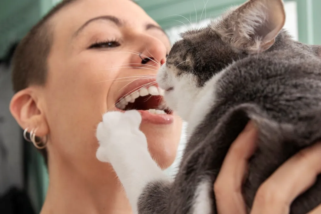 Стоматологический осмотр кошки в ветеринарной клинике