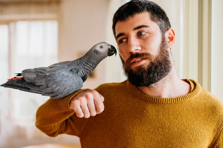 Комплексное лечение и осмотр для птиц в Москве: ветеринарный центр